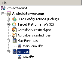 Delphi XE5通过WebService开发Web服务端和手机客户端